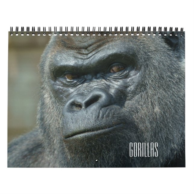 2026 års Gorilla-kalender Kalender (Omslag)