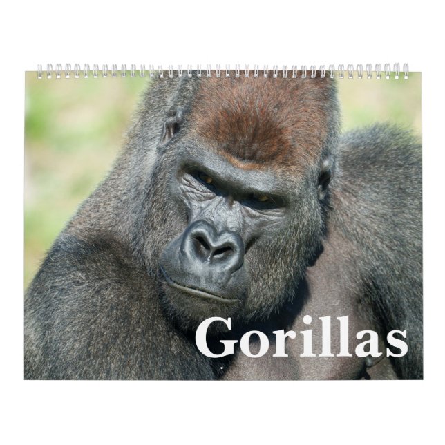 2026 års Gorilla-kalender Kalender (Omslag)
