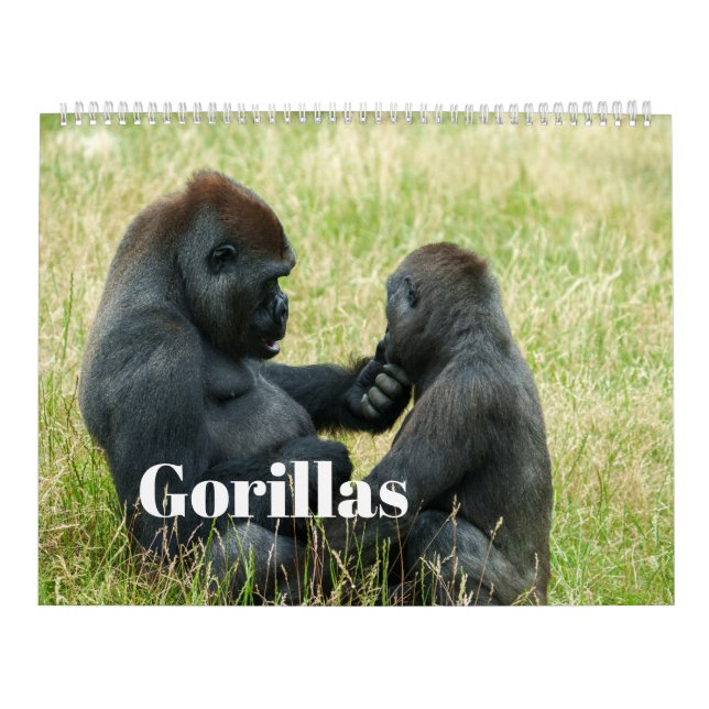 2026 års Gorilla-kalender Kalender (Omslag)