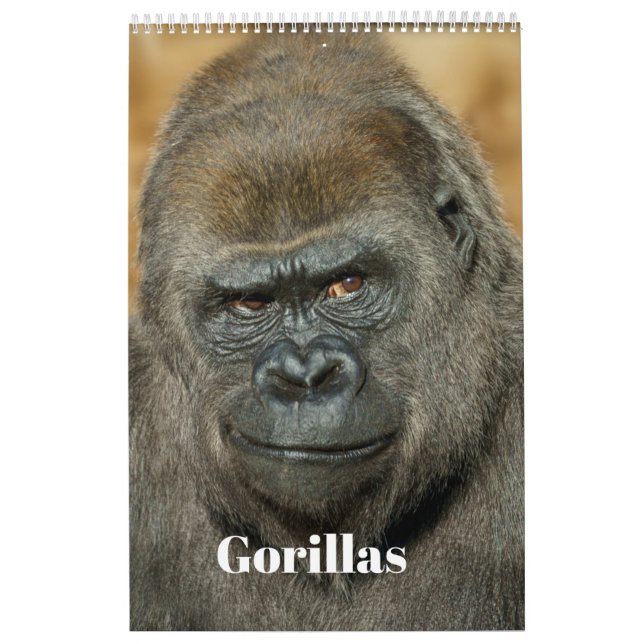 2026 års Gorilla-kalender Kalender (Omslag)