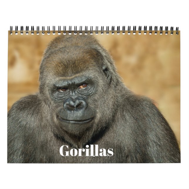 2026 års Gorilla-kalender Kalender (Omslag)