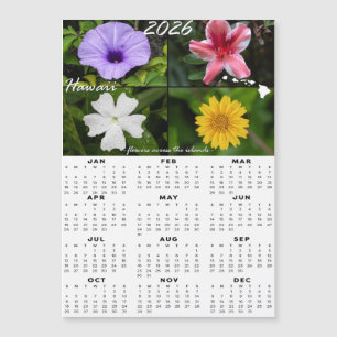 2026 års hawaiiska blomskalender (Magnetic x4)