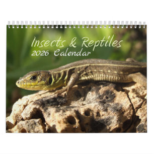 2026 års kalender för Insektra och reptiler