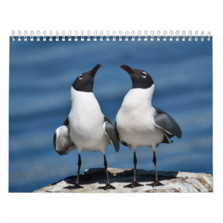 2026 års naturkalender kalender