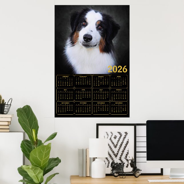 2026 Australian Shepherd-kalender  Poster (Hemmakontoret)