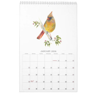 2026 Bakbrädfåglar i tidningen Watercolor Calendar Kalender