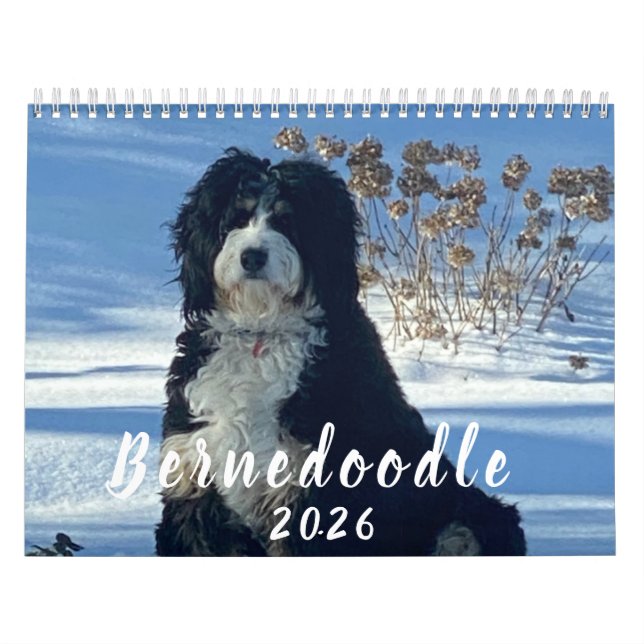 2026 Bernedoodle photo Calendar Kalender (Omslag)