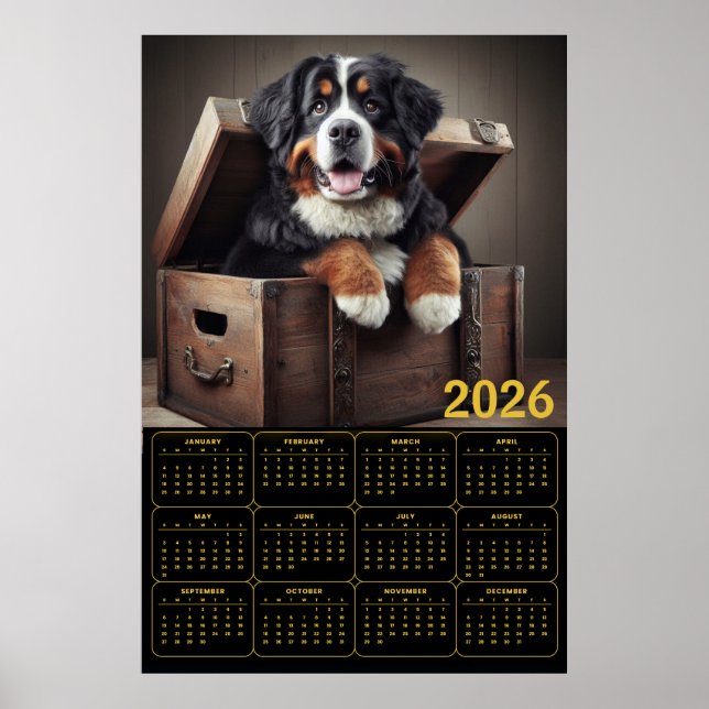 2026 Bernese Mountain Dog-kalender  Poster (Framsidan)