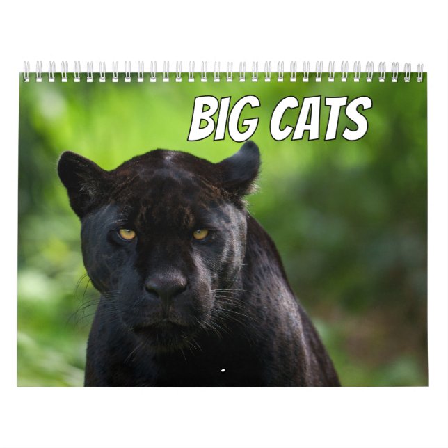 2026 Big Cat Kalender (Omslag)