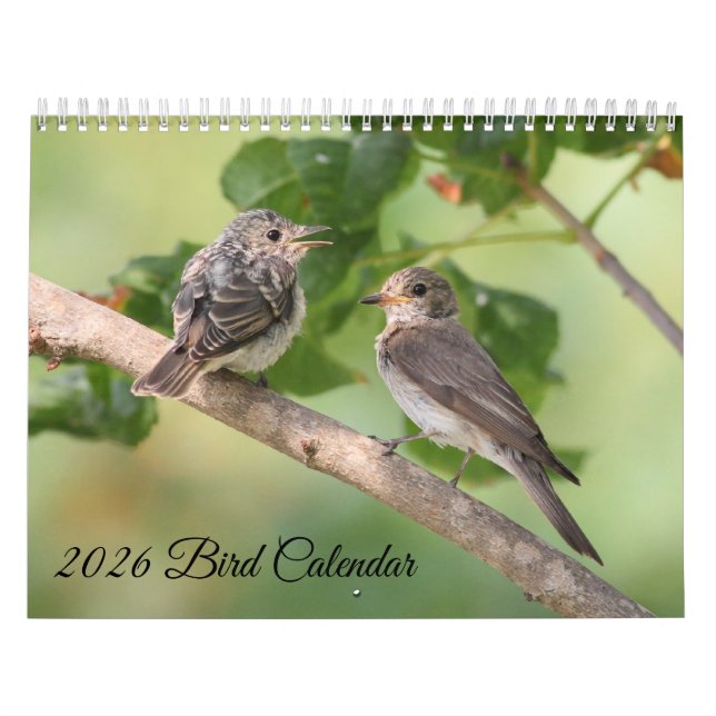 2026 Bird Calendar Kalender (Omslag)