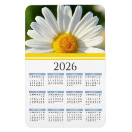2026 Bright Shasta Daisy Blommigt Calendar Magnet