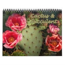 2026 Cactus & Succulent Flower (ursprunglig versio