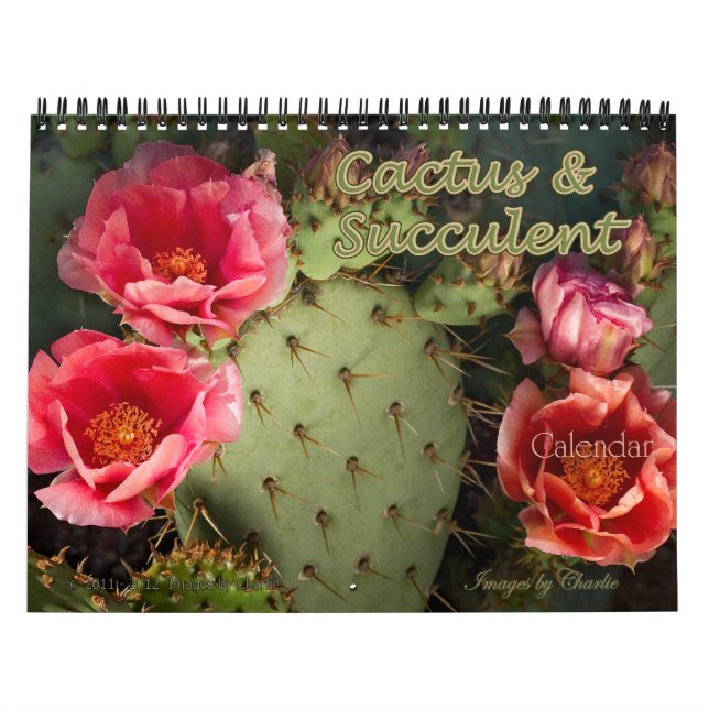 2026 Cactus & Succulent Flower (ursprunglig versio Kalender (Omslag)