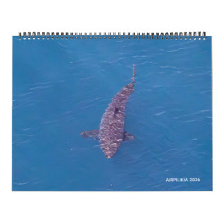 2026 Calendar Airpilikia  Kalender