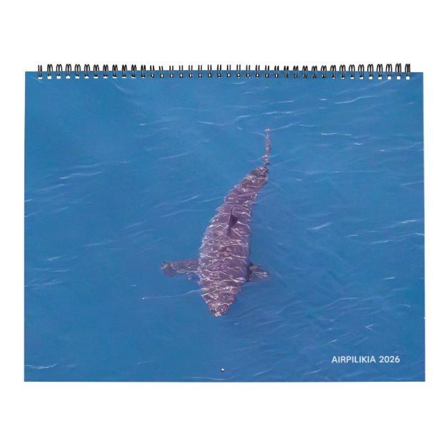 2026 Calendar Airpilikia  Kalender (Omslag)