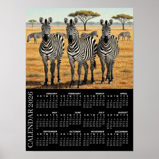 2026 Calendar, Zebras, African Safari, Africa Poster (Framsidan)