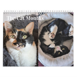 2026 Cat Calendar Kalender