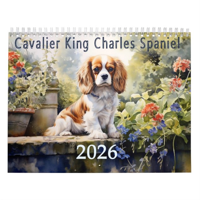2026 Cavalier Kung Charles Spain Kalender (Omslag)