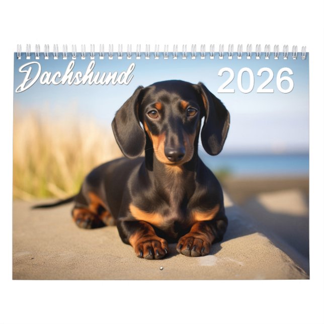 2026 Dachshund Kalender (Omslag)