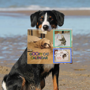2026 dumma kattkalender kalender