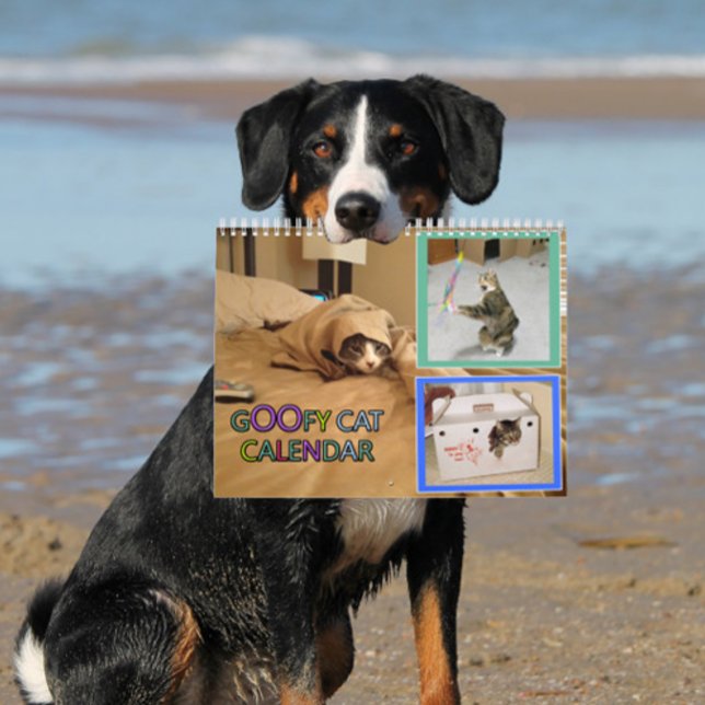 2026 dumma kattkalender kalender (woof)