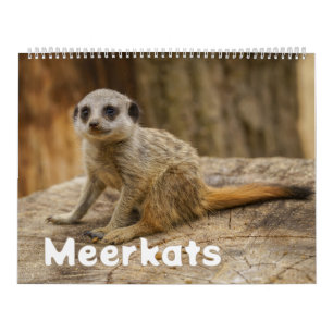 2026 Ett år med möten Kalender