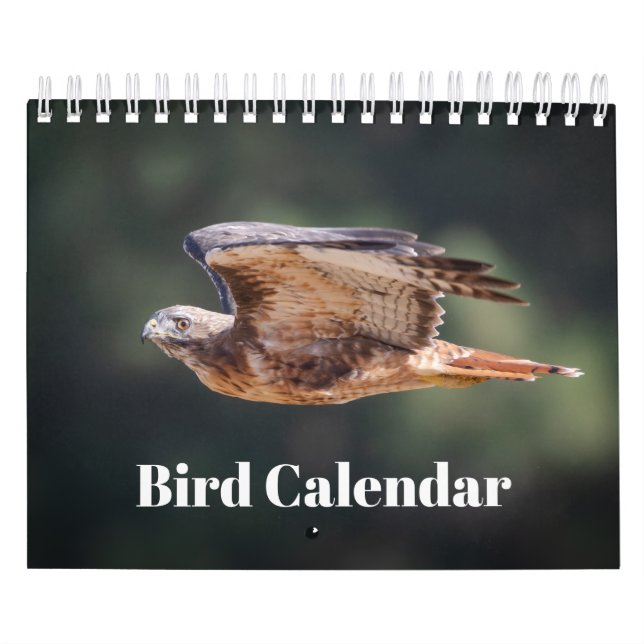 2026 Fågelkalender Kalender (Omslag)