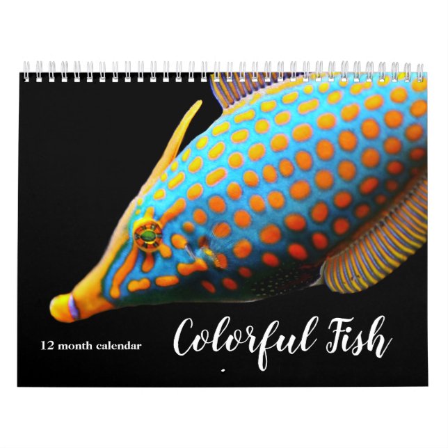 2026 Färgfisk Kalender (Omslag)