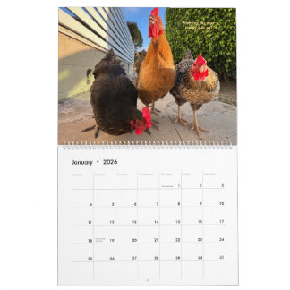 2026 Grannskapskycklingkalender - Stor Kalender