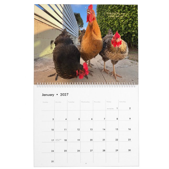 2026 Grannskapskycklingkalender - Stor Kalender (Jan 2027)