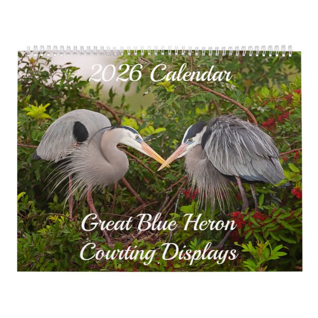 2026 Great Blue Heron Courting Displays Calendar Kalender (Omslag)