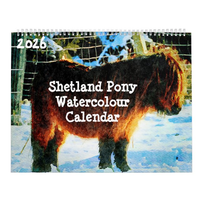 2026 Hardy Shetland Ponies Watercolor Painting Art Kalender (Omslag)