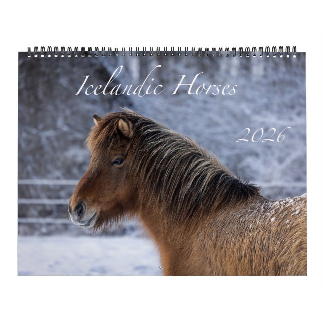 2026 Isländsk Hästkalender Kalender (Omslag)