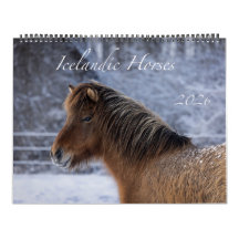 2026 Isländsk Hästkalender