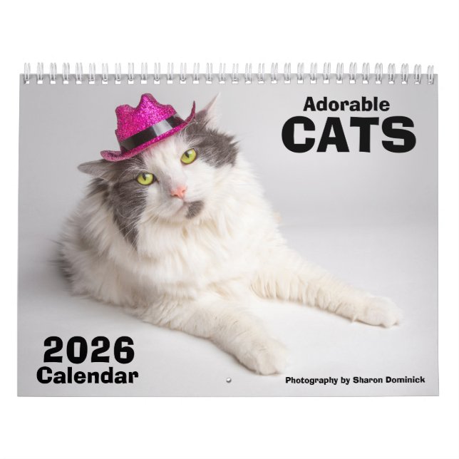 2026 Kalendar med bedårande katter Fotografi Kalender (Omslag)