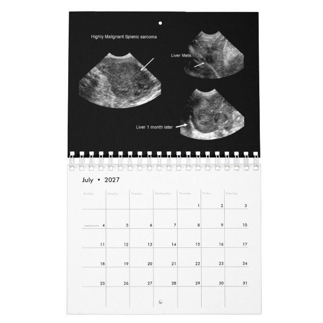 2026 Kalender för veterinär ultraljud (Jul 2027)