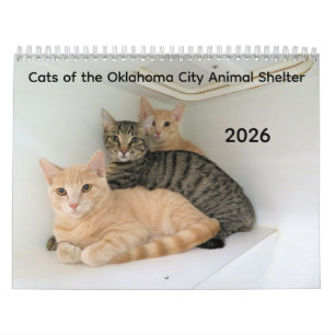 2026 Katter av Oklahoma City Animal Shelter Kalender