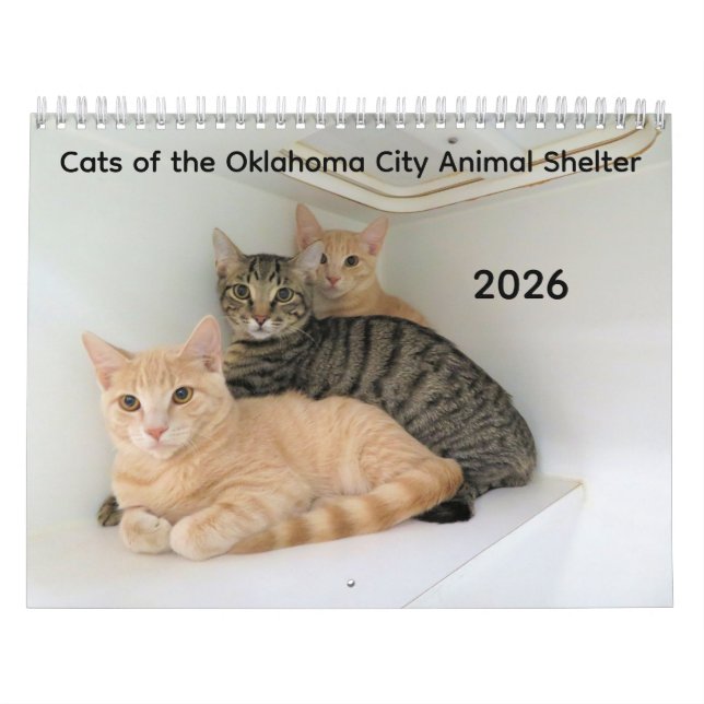 2026 Katter av Oklahoma City Animal Shelter Kalender (Omslag)