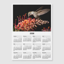 2026 Kolibri 5x7" Magnetisk Mini Kalender