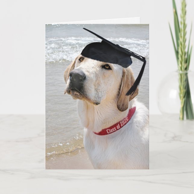 2026 Labrador Retriever With Graduation Cap Kort (Framsida)