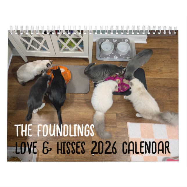 2026 Love & Hisses Calendar - the Foundlings Kalender (Omslag)