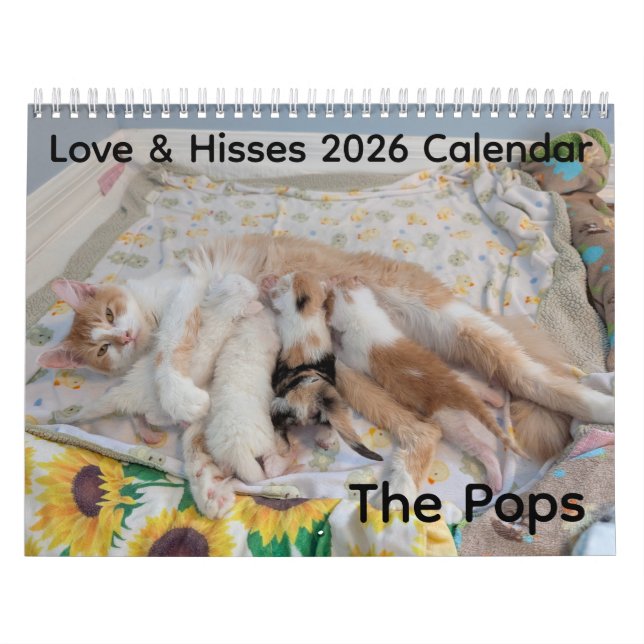 2026 Love & Hisses Calendar - the Pops Kalender (Omslag)