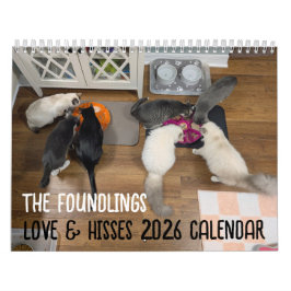 2026 Love & Hisses Kalender - de Hitta Hitta