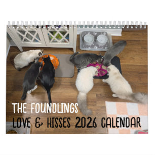 2026 Love & Hisses Kalender - de Hitta Hitta