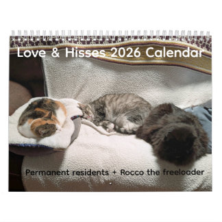 2026 Love & Hisses Kalender - Permanentboende