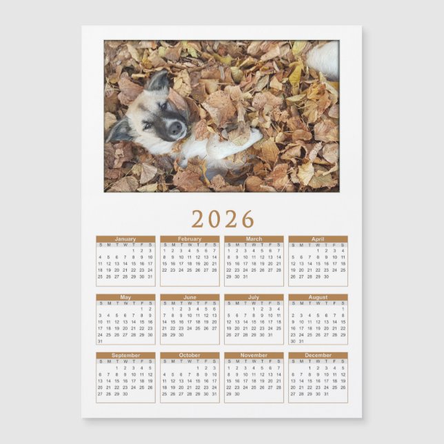 2026 magnetisk kalender med Dina djur (Framsida)