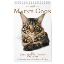 2026 Maine Coon Cat Calendar