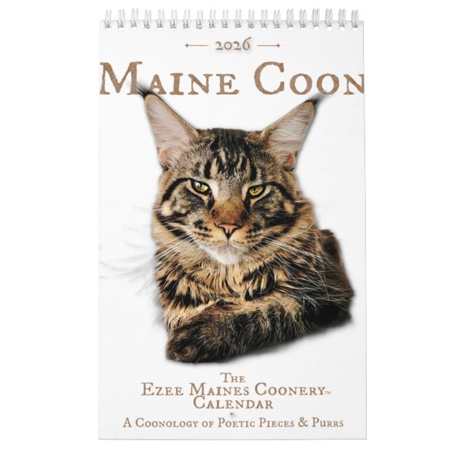 2026 Maine Coon Cat Calendar Kalender (Omslag)