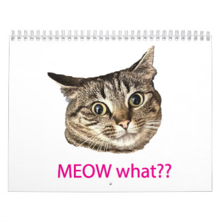 2026 MEOW vad?? Kalender