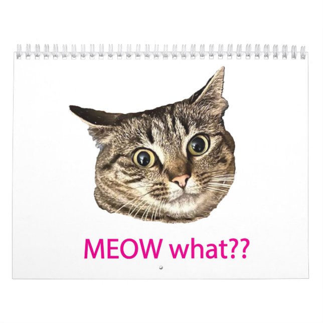 2026 MEOW what?? Calendar Kalender (Omslag)